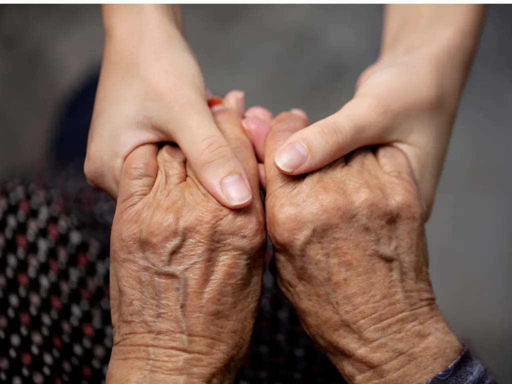 Navigating the Challenges of Ageing masthead