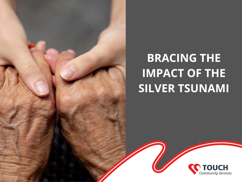 Bracing the Impact of the Silver Tsunami
